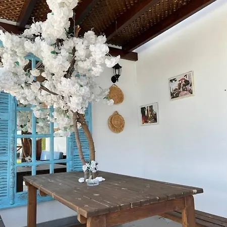 Family-friendly Just Steps Away From The Sea * Kyrenia (Northern Cyprus)